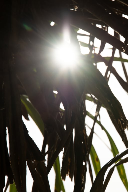 图片[19]-#CRAZY SUMMER 有贺美奈穗【裸体写真集】 - 全本免费在线观看-阅图吧