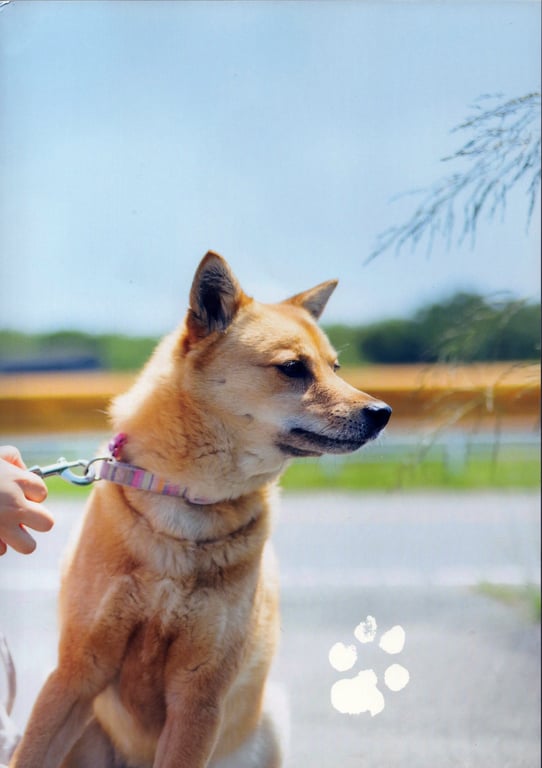 图片[113]-#STU48 泷野由美子1st写真集 我还不太了解你的事 - 全本免费在线观看-阅图吧