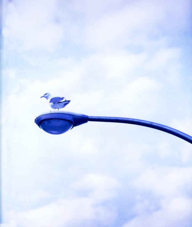 图片[61]-Misaki Ito 伊东美咲 – Umineko 伊东美咲 in 映画《海猫》 - 阅图吧-阅图吧