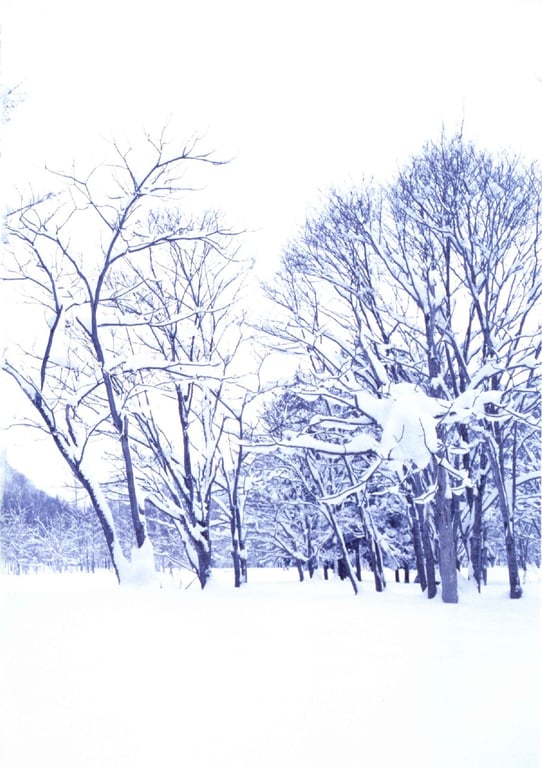 图片[74]-#藤本美贵 – リアル226 (见开连结済) - 全本免费在线观看-阅图吧