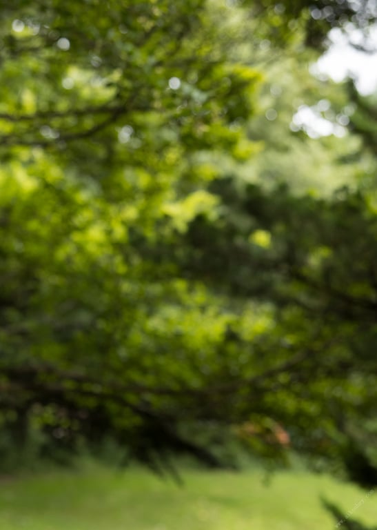 图片[27]-#Yuki Fujiki 藤木由贵 – I\’m in love … 恋慕焦灼… (2021-10-15) - 全本免费在线观看-阅图吧