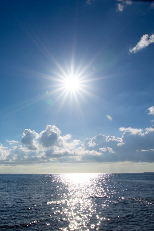 图片[18]-#Riho Fujimori 藤森里穂 Eden 伊甸 (2021.11.12) - 全本免费在线观看-阅图吧