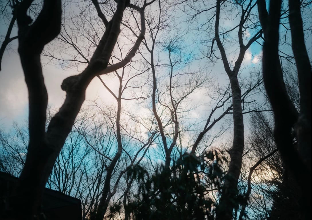 图片[204]-#芽衣 写真集 萌芽 (Wunder Publishing House) - 全本免费在线观看-阅图吧