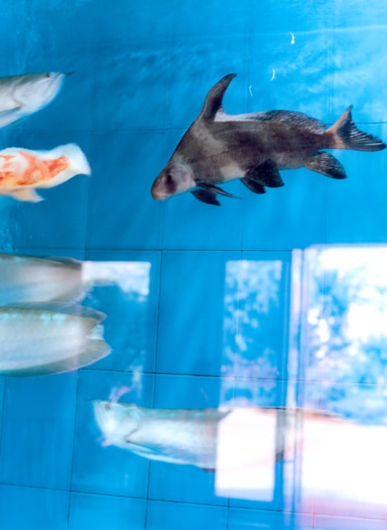 图片[53]-#松浦亚弥 – a - 全本免费在线观看-阅图吧