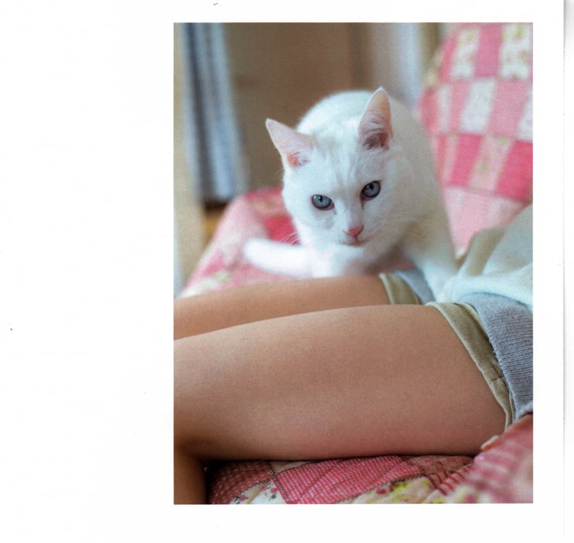 图片[63]-#青山裕企 Photobook 26sets\【青山裕企】猫与大腿 - 全本免费在线观看-阅图吧