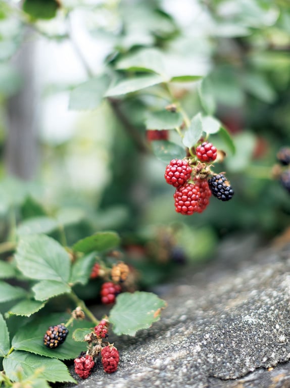图片[8]-#小湊四叶写真集 芽吹き - 全本免费在线观看-阅图吧
