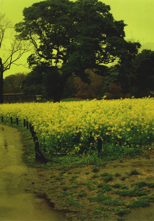 图片[33]-#(月刊シリーズ 057) – 月刊057 佐藤珠绪Special - 全本免费在线观看-阅图吧