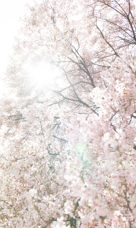 图片[23]-2024.04.15 【数字限定】福留光帆写真集「尼崎的钻石」 週プレ PHOTO BOOK - 在线免费观看-阅图吧