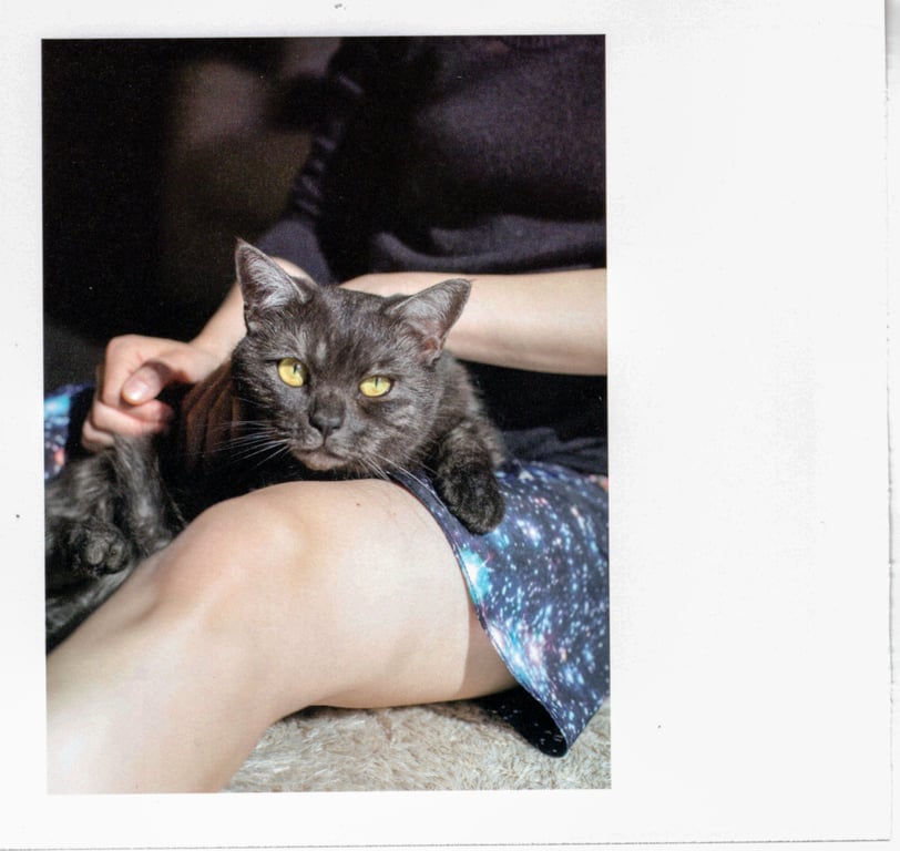 图片[51]-#青山裕企 Photobook 26sets\【青山裕企】猫与大腿 - 全本免费在线观看-阅图吧