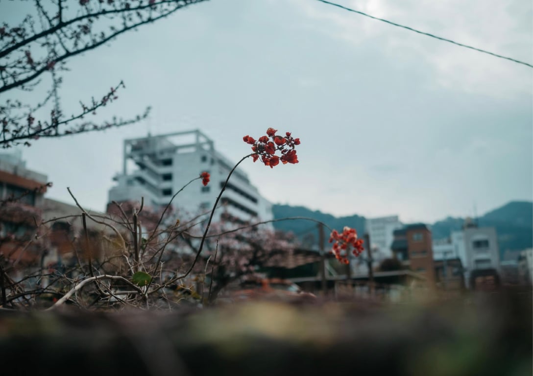 图片[9]-#百瀬菜月 写真集 热情夜 (Wunder Publishing House) - 全本免费在线观看-阅图吧