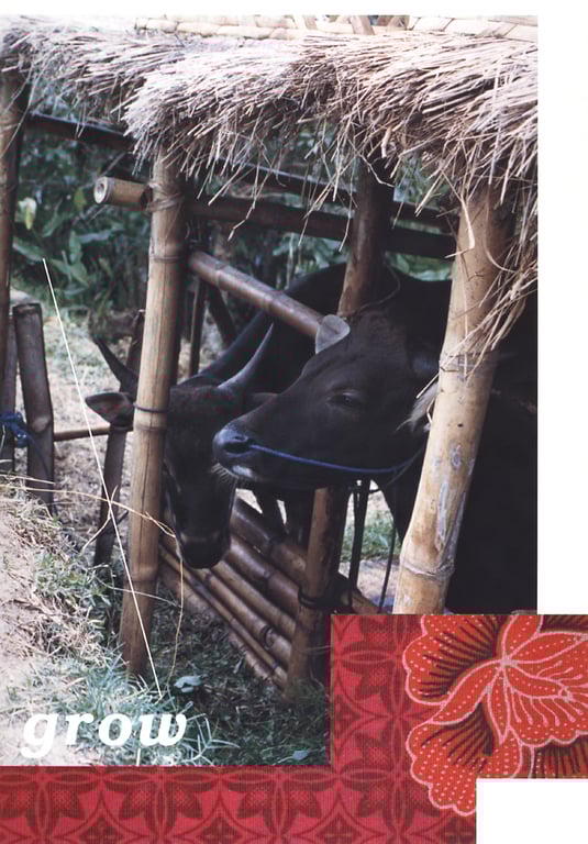 图片[16]-#(月刊シリーズ 063) – 月刊063 花井美里 - 全本免费在线观看-阅图吧