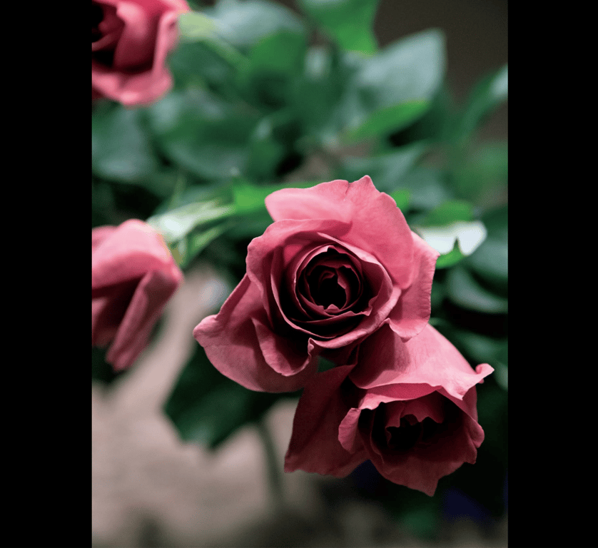 图片[74]-#中岛知子 裸体写真集『烟夏 enka』 (No Watermark) - 全本免费在线观看-阅图吧