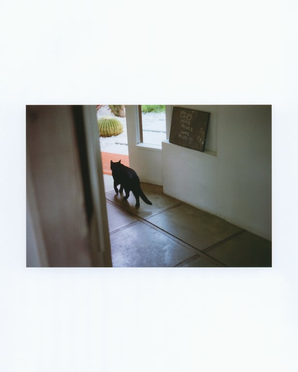 图片[66]-#白石麻衣写真集 护照 乃木坂46毕业纪念 限定封面版【Amazon.co.jp限定明信片付】 - 全本免费在线观看-阅图吧