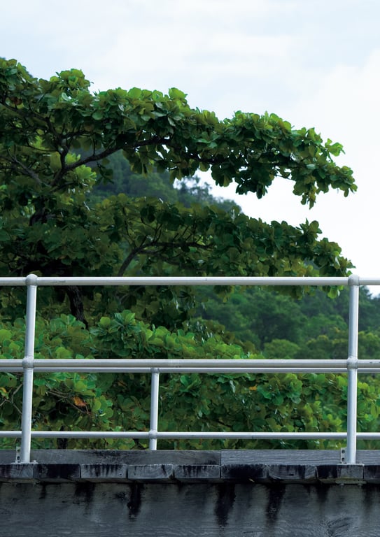 图片[90]-【電子版だけの特典カットつき】葉月くれあ 1st写真集 clarus - 在线免费观看-阅图吧