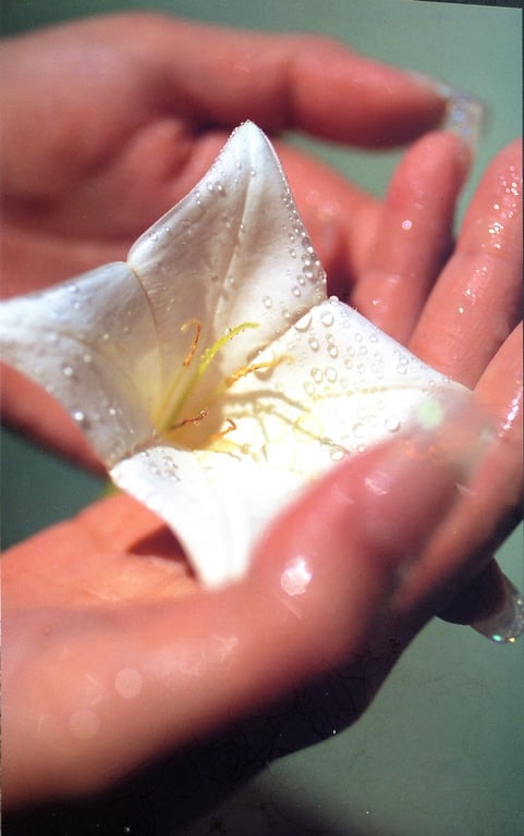 图片[3]-#夏目ナナ – NaNa! - 全本免费在线观看-阅图吧