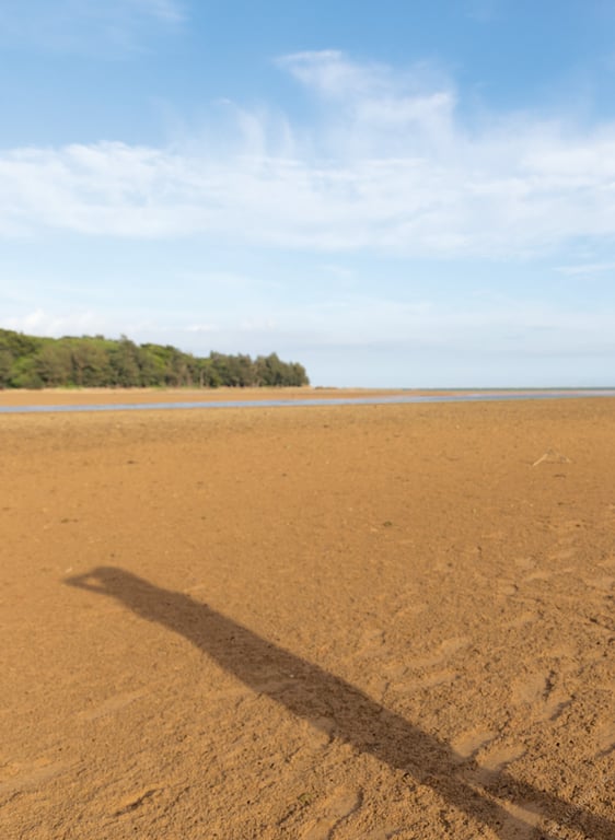 图片[75]-#似鸟沙也加 1st写真集 Ribbon - 全本免费在线观看-阅图吧