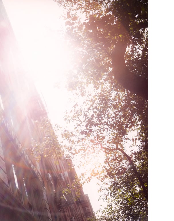 图片[80]-生田絵梨花写真集 中场休息 (new scan) - 在线免费观看-阅图吧