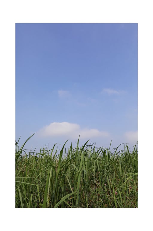 图片[7]-#Chiaki Hiratsuka 平塚千瑛 – Bush of love 爱之茂丛 (2019-09-20) - 全本免费在线观看-阅图吧