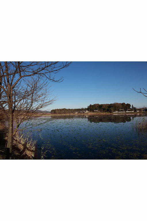 图片[3]-#藤香奈 湖边的全裸写真 週刊ポストデジタル写真集 - 全本免费在线观看-阅图吧