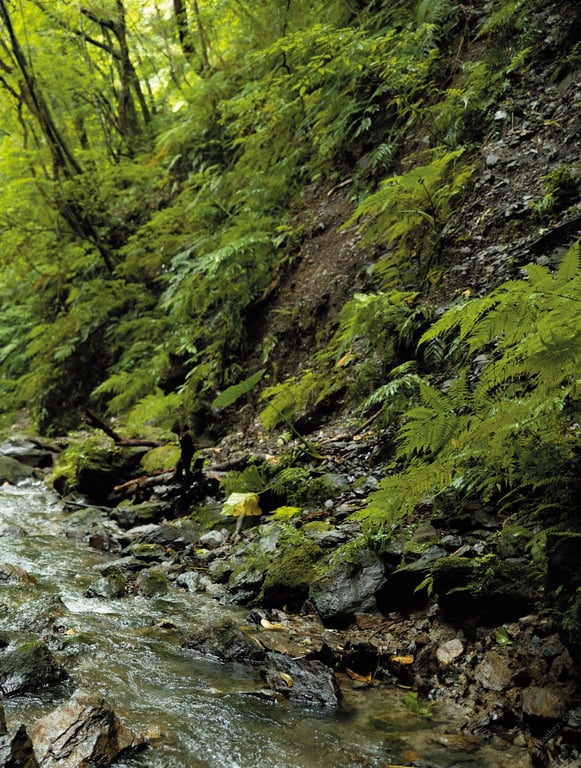 图片[96]-#木下凛凛子写真集 Ｒｅｌｅａｓｅ アサ芸SEXY女優写真集 - 全本免费在线观看-阅图吧