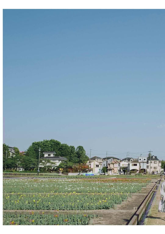 图片[3]-#Minami Kojima 小岛南 – Trance Retinal 被夺取 (2021-09-27) - 全本免费在线观看-阅图吧