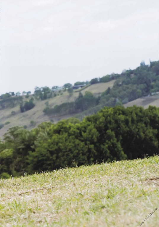 图片[118]-#都丸纱也华3rd写真集 MeeTomaru Low Qulity - 全本免费在线观看-阅图吧