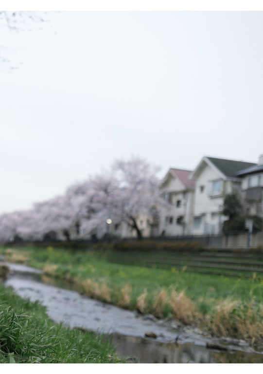 图片[106]-#小仓七海 数字写真集 とられち(No Watermark) - 全本免费在线观看-阅图吧