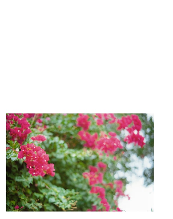 图片[95]-Mai Shiraishi 白石麻衣 - Passport 护照 (3rd scan) - 在线免费观看-阅图吧