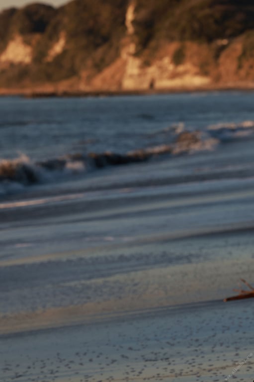 图片[81]-#Shoko Takahashi 高桥翔子 – Takasho Last show Takasho Last show (2022-04-08) - 全本免费在线观看-阅图吧