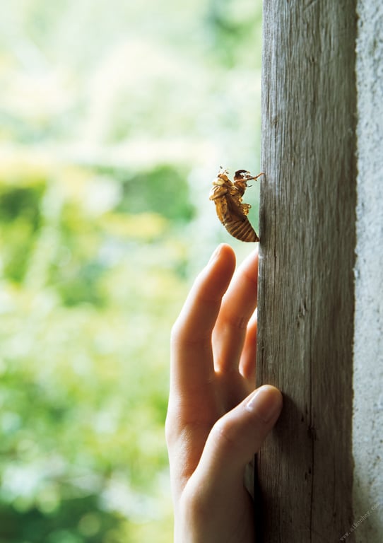 图片[18]-#Miyako Sono 园都 – Hitohira 一片 (2019-12-14) - 全本免费在线观看-阅图吧