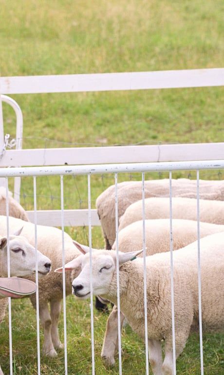 图片[66]-2024.09.30 岡部麟『週プレ プラス！』其他镜头合集「永远的虏毒～prologue～」 (週プレ PHOTO BOOK) - 在线免费观看-阅图吧