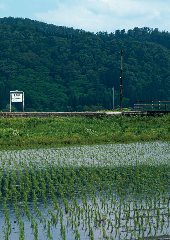 图片[28]-#鈴原りこ1st写真集 柔软温暖。54カット増 大増190ページデジタル完全版 - 全本免费在线观看-阅图吧