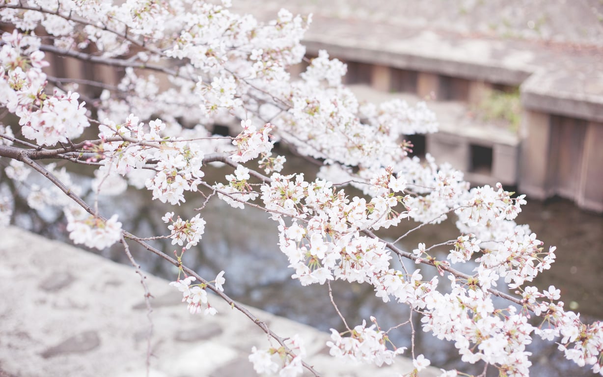 图片[109]-#青山裕企 Photobook 26sets\【青山裕企】铃香的蓝色春天 总集编 - 全本免费在线观看-阅图吧