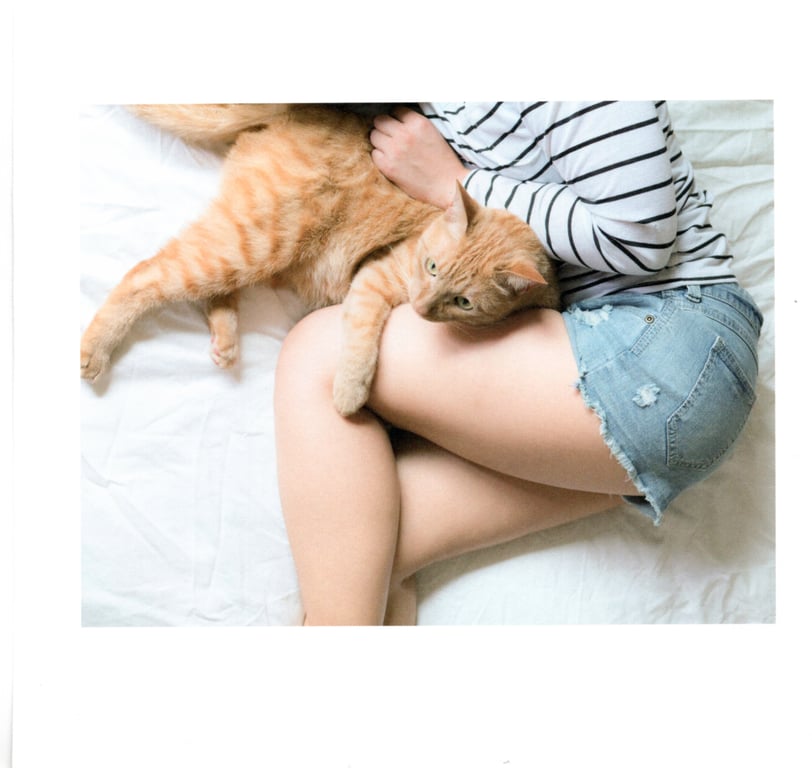 图片[78]-#青山裕企 Photobook 26sets\【青山裕企】猫与大腿 - 全本免费在线观看-阅图吧