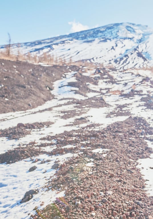 Digital原色美女图鉴 桃子女神公司 浑浊而又透明-阅图吧