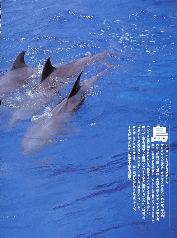 图片[91]-#佐藤宽子 – Peek a Boo! (ringo_scan) - 全本免费在线观看-阅图吧