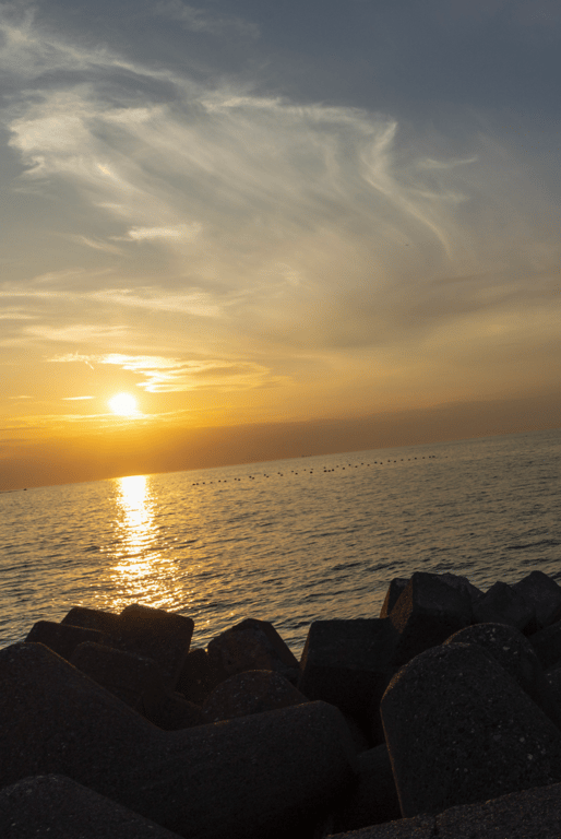 图片[55]-#美園和花 官方写真集 ハチミツ - 全本免费在线观看-阅图吧