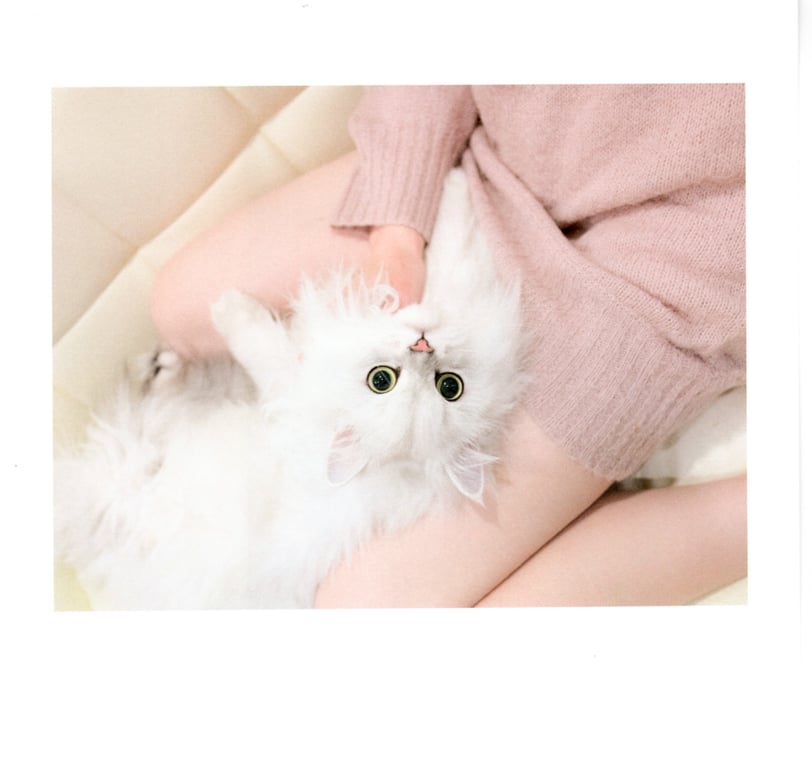 图片[57]-#青山裕企 Photobook 26sets\【青山裕企】猫与大腿 - 全本免费在线观看-阅图吧