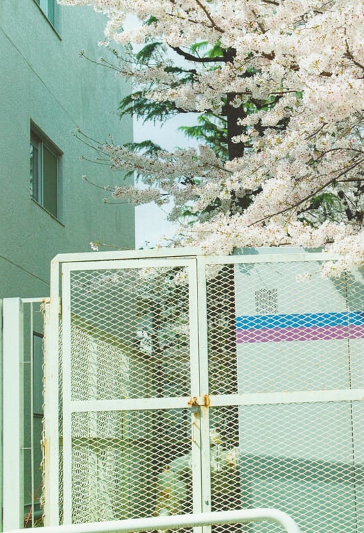 图片[41]-Shiori Kubo 久保史绪里 - 1st Photobook Intersection 交差点(23-07-11) - 在线免费观看-阅图吧