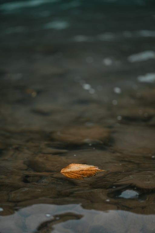 图片[42]-けん研(けんけん) 女忍者忍法媚术之技DL写真集 - 在线免费观看-阅图吧