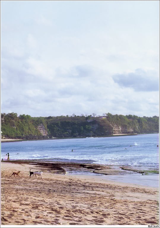 图片[121]-#三津谷葉子 – 思春期 - 全本免费在线观看-阅图吧