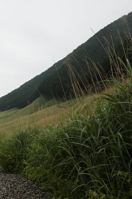 图片[68]-#FRIDAYデジタル写真集 现役庆应大学生美女 街山美穗「秘宿」 - 全本免费在线观看-阅图吧