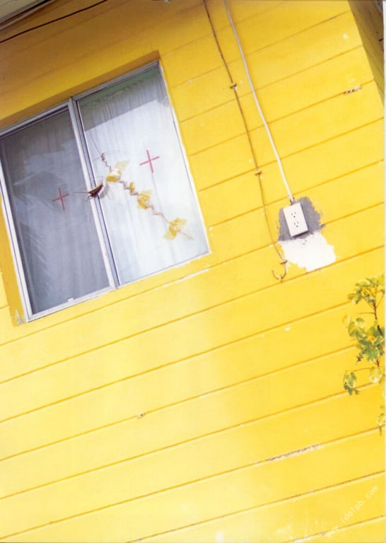 图片[86]-#小仓有栖 写真集 真夏之国的有栖 - 全本免费在线观看-阅图吧