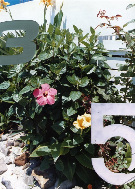 图片[30]-#(月刊シリーズ 071) – 月刊071 道边Jessica - 全本免费在线观看-阅图吧