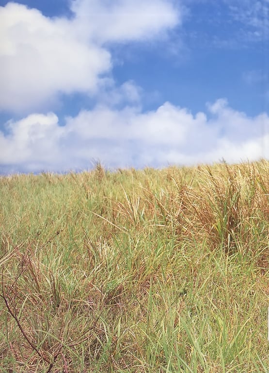 图片[126]-#山崎真実 – MAMI蔵 - 全本免费在线观看-阅图吧