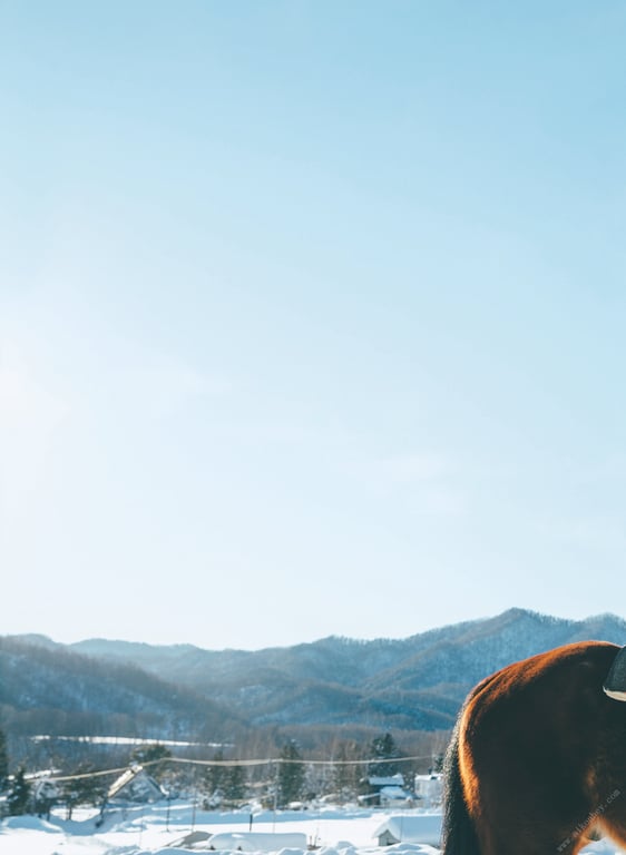 图片[8]-#松下玲绪菜2nd写真集 in the seasons - 全本免费在线观看-阅图吧