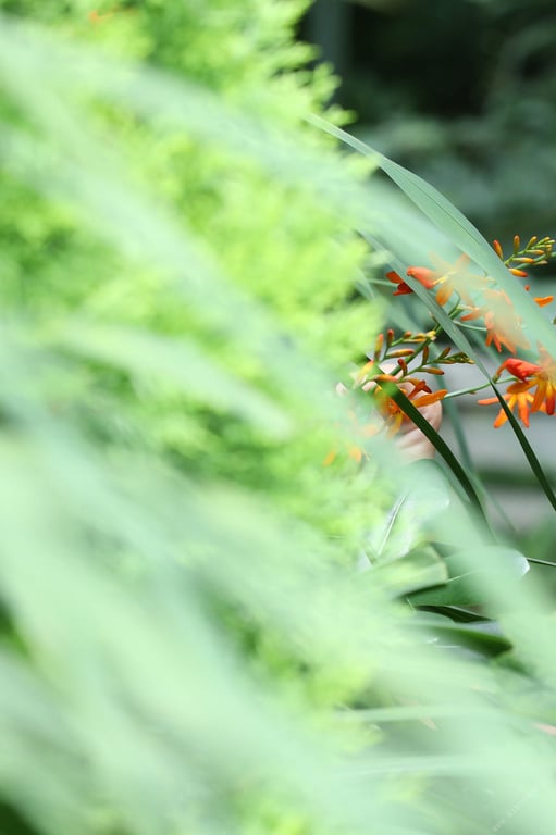 图片[6]-#週刊Post数码写真集 户田怜 如果是梦就别醒来 ( 2019-09-02) - 全本免费在线观看-阅图吧