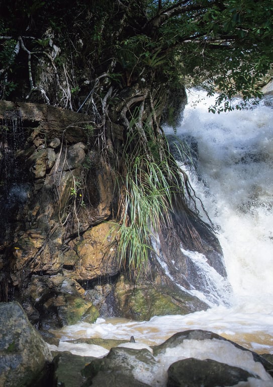 图片[14]-#アサ芸SEXY女優写真集 美乃すずめ写真集 nymph - 全本免费在线观看-阅图吧