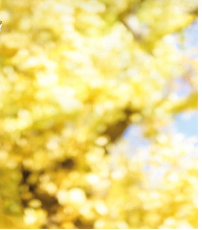 图片[8]-#青山裕企 Photobook 26sets\【青山裕企】青山裕企♡妹妹 - 全本免费在线观看-阅图吧