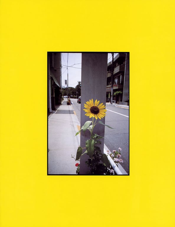 图片[118]-#Azusa Yamamoto 山本梓 – Azu Kyun 山本梓亲 (2003-06-14) - 全本免费在线观看-阅图吧